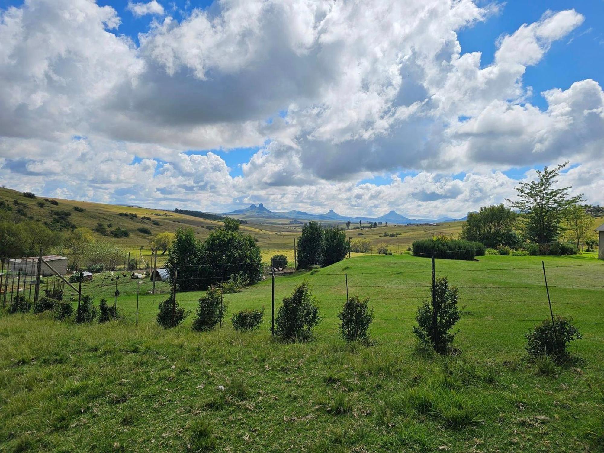 Oban Farm Stay Van Reenen Eksteriør bilde